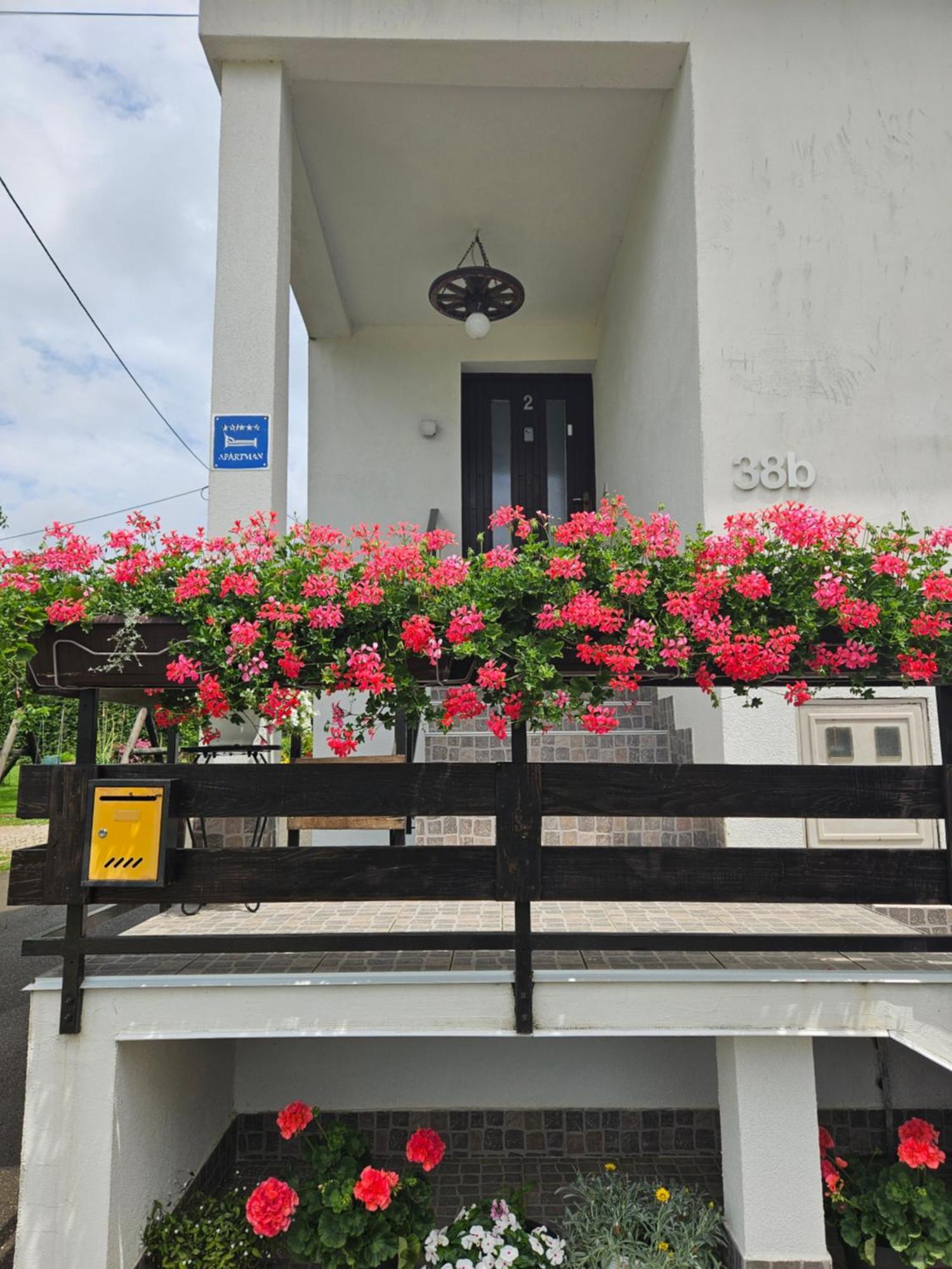 Apartments Luka Rakovica Exterior photo